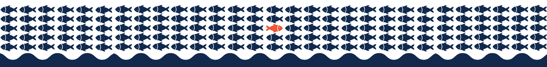 A school of navy fish swimming one way, one coral fish going against the flow
