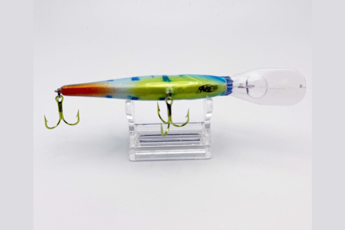 Live Wire bottom